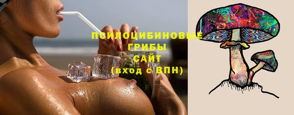 гидра Алзамай
