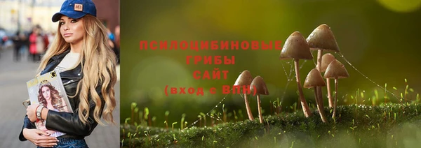а пвп мука Алексеевка