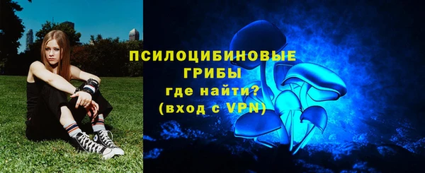 метадон Алексин