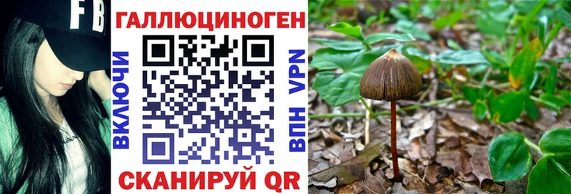 Галлюциногенные грибы прущие грибы что такое Осташков